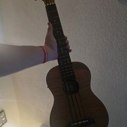 U Bass Oscar Schmidt By Washburn