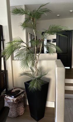 Artificial Palm Plant