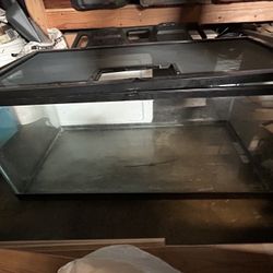 BIG TANK FOR REPTILE 