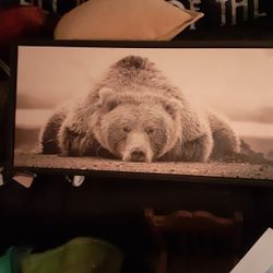 Big Brown Bear $25.00 Cash Only (Serious Buyers) First Come First Served 