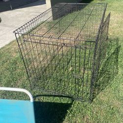 Dog Cage 
