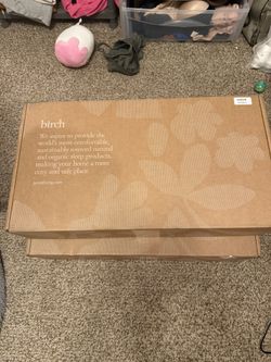 2 Birch Organic Pillows