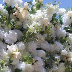 Garden Rose Photo Wall 