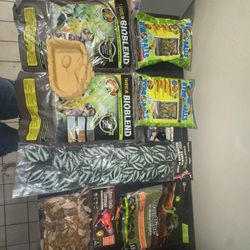 Bioactive terrarium starter kit (substrate, hydro balls, leaf litter, decor)