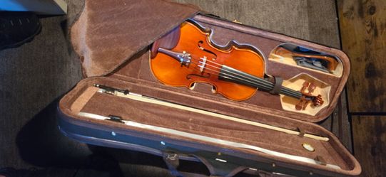Beginner wood violin