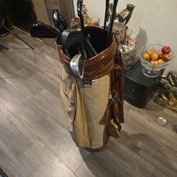 10 GOLF CLUBS WITH GOLF BAG 