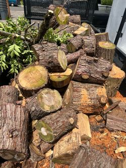 Seasoned firewood
