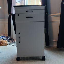 Rolling Cabinet/Standing Desk