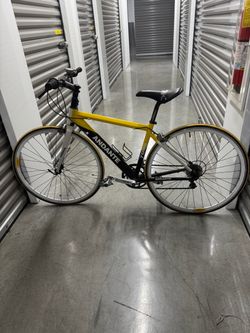 Andante bicycle
