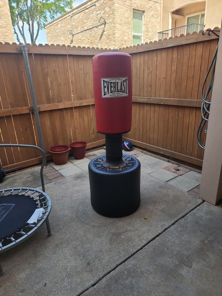 Everlast Punching Bag( Boxing Equipment)