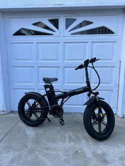 Bear Electric Bike