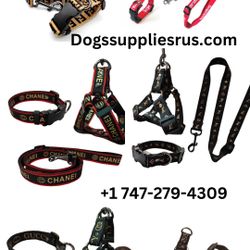 Dog Harness Collar Leash Sets $40