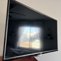 Vizio 32” With Mount 