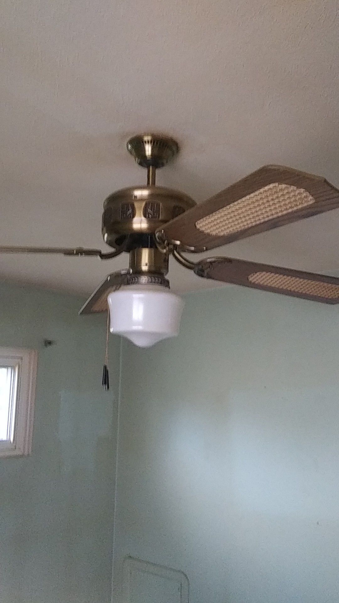 Ceiling Fan w/light