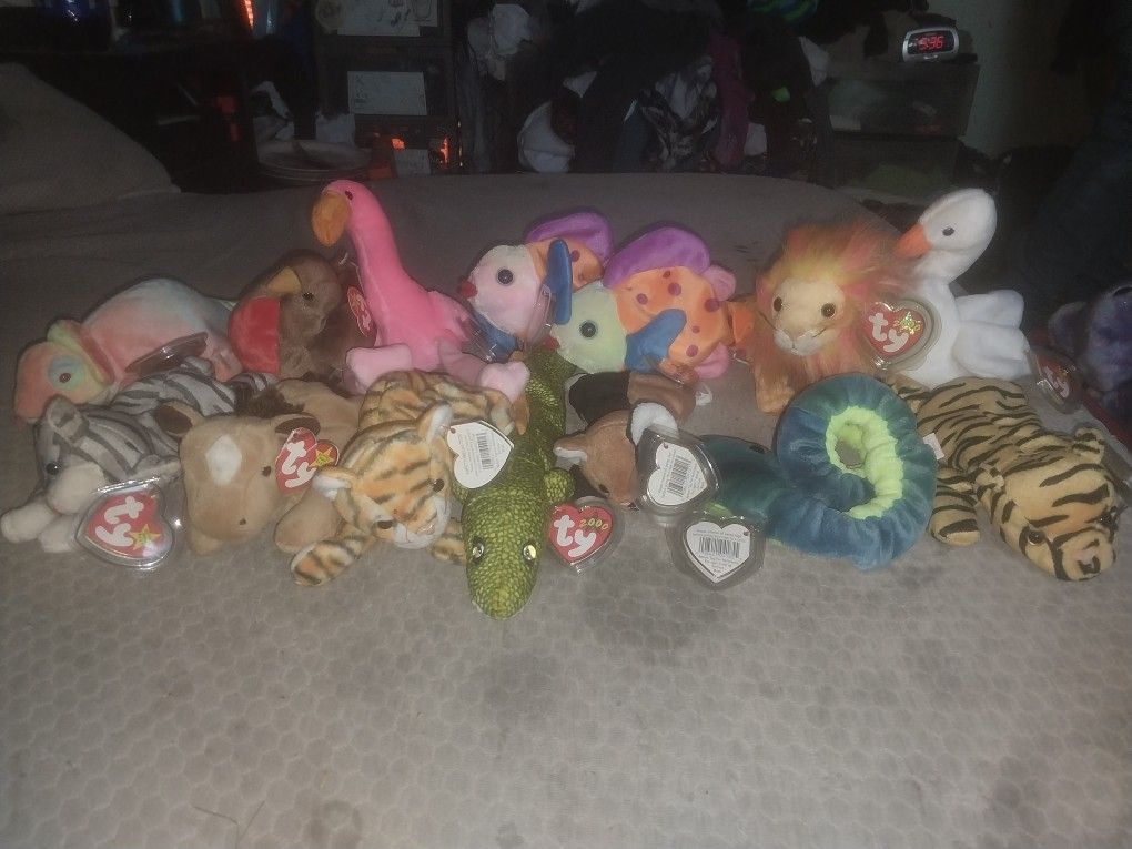 Beanie Babies, Buddies, And Teenie Beanies