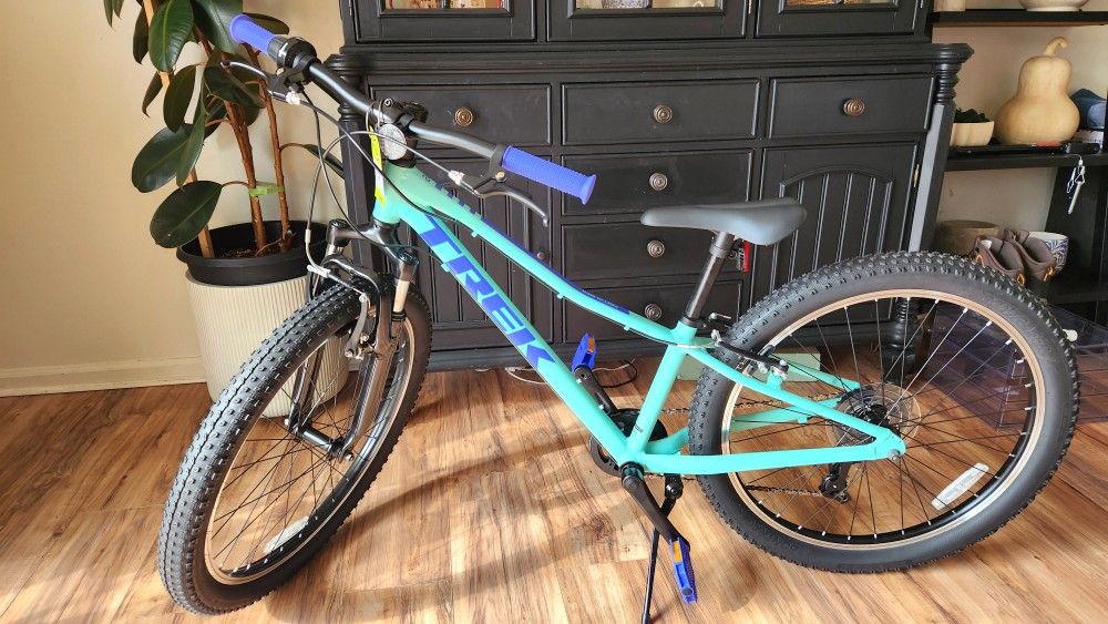 BRAND NEW 2026 Trek Precaliber 24 8-speed Suspension Kids Bike for Sale ...