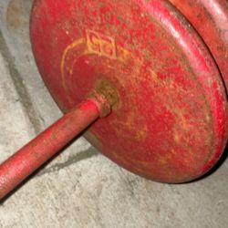 Weights 