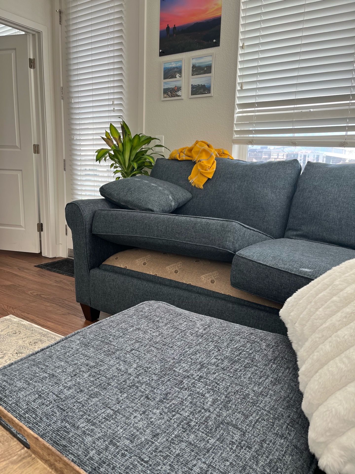 Free broken couch - likely repairable
