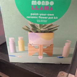 Mondo llama Paint Your Own Ceramic Flower Pot Kit