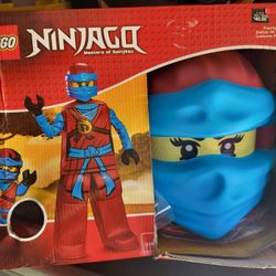 Lego Ninjago  Costume