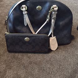 Medium Size Coach Purse And Wallet