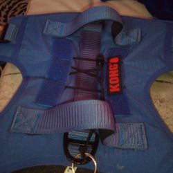 Kong Harness 