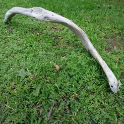 Natural Driftwood For Aquariums Terrariums Decor 