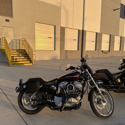 Harley Sportster 883 