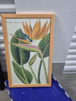 Wall decor