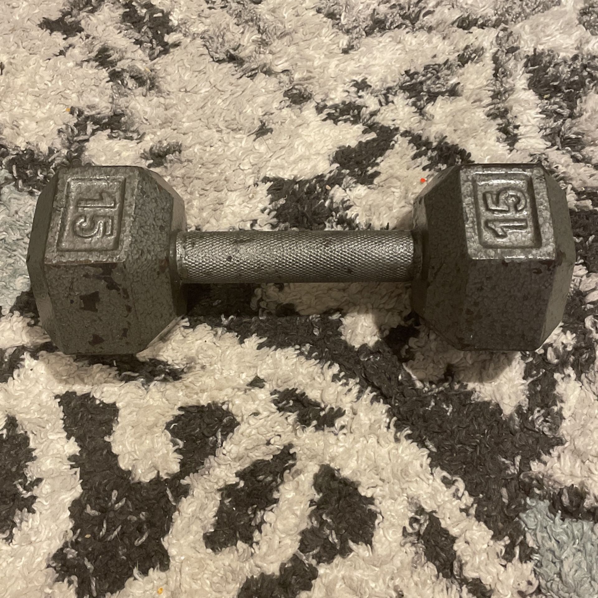 15 Pound Dumbbell 