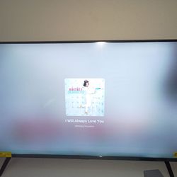 Brand new Insignia TV with receipt moving but I decided to get a bigger one have the box two weeks old myself today