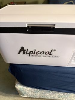 Electric cooler