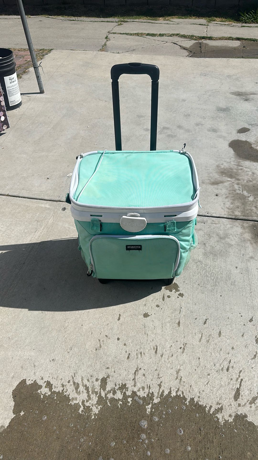 Igloo Fusion 28qt Cooler