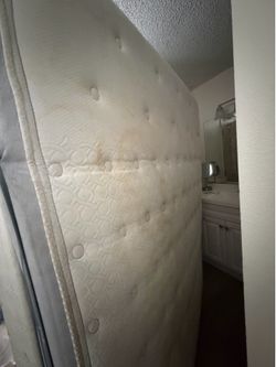 Free Mattress