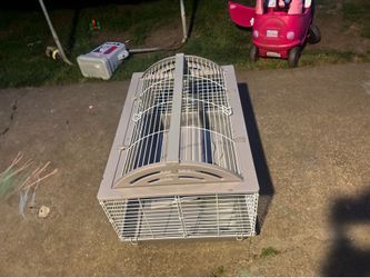 Guinea pig cage