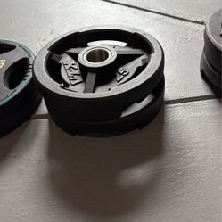 25 Lb Weight Plate Set