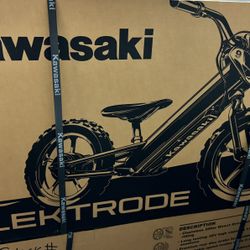 Kawasaki Electric Bike