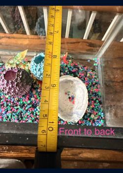 Fish tank 1