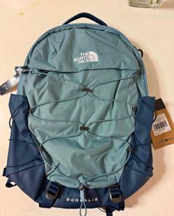 Bag back