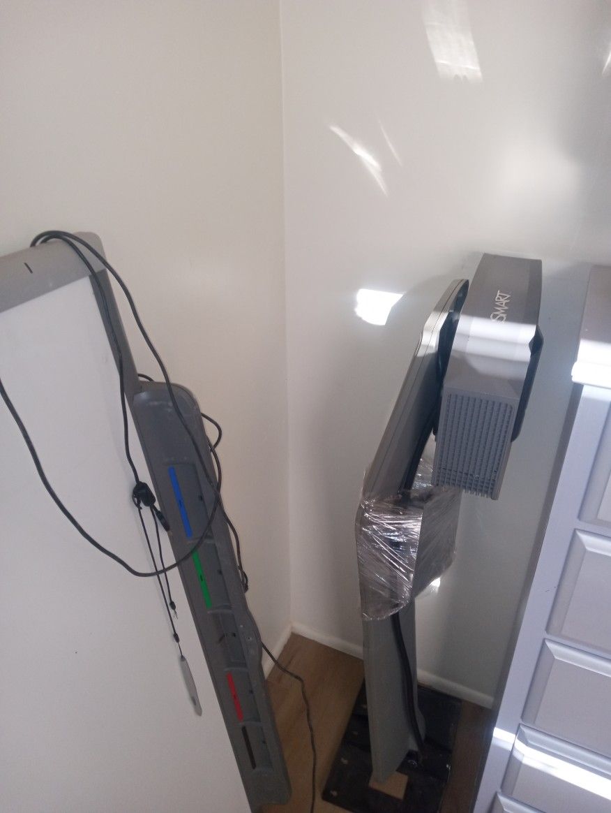 Smart Boards. I've Personally Connected Both Roku And Chromecast and I HaveellUsed Them To Entertain