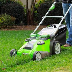 GreenWorks Lawn Mower