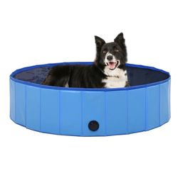 Dog pool water