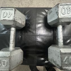 Weights Dumbbells 