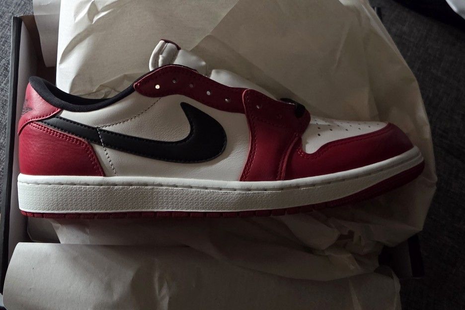 Low Retro Air Jordan 1 OG 10.5