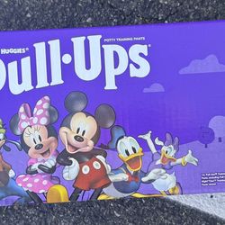 Pull Ups Size 2-3T Sell Or Trade For Enfamil 12oz Can