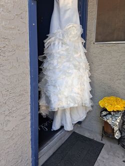 Lana Bisset Quinceañera/Wedding Dress 