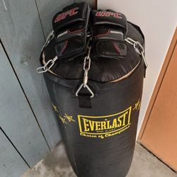 Everlast Punching Bag + UFC Gloves