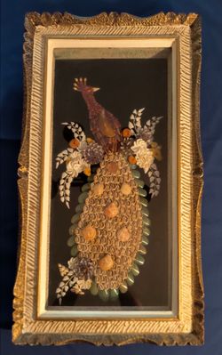 Peacock Shell Art Shadowbox