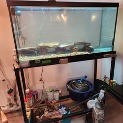 90 Gallon Fish Tank w Stand w Sunsun Filter