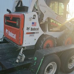 Bobcat